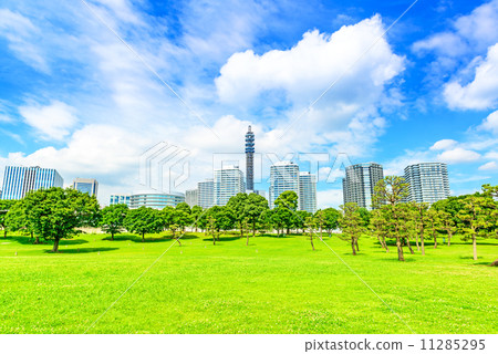 Rinkaku公園（神奈川縣橫濱市西區） 11285295