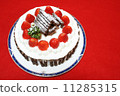 手工製作的聖誕蛋糕 11285315