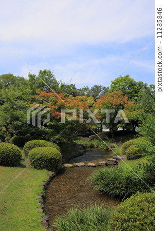 夏天科恩恩 夏天科恩恩 11285846