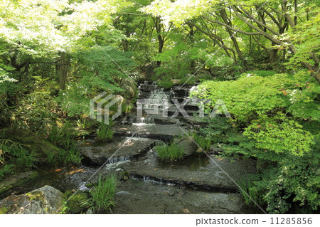 Summer Kokoen 11285856