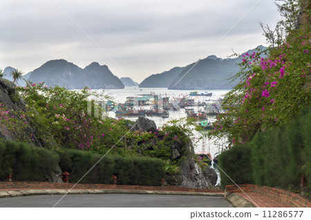 Streets on Cat Ba Island.  11286577