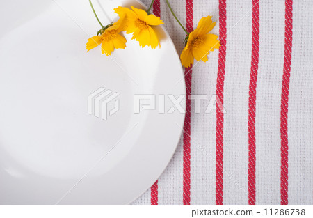 tablecloth 11286738