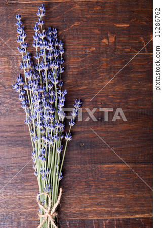 lavender lavender 11286762