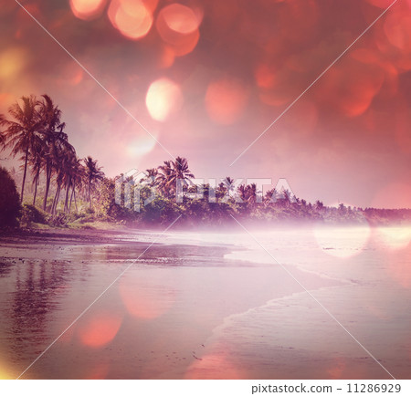 Tropical beach 11286929