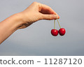 hand holding cherry  11287120
