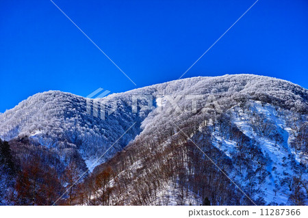 Mountain top covered with fog ice 11287366