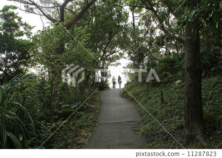 Go through the green slope to the observatory 11287823