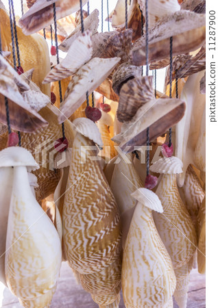 Seashell Windchime 11287900