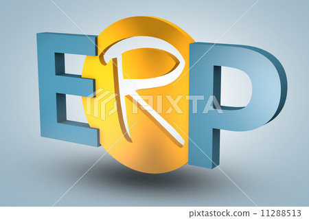 Enterprise Resource Planning 11288513
