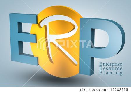 Enterprise Resource Planning 11288516