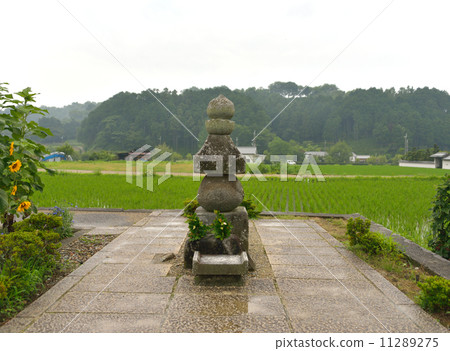 Asuka na Tsukuda 1 Asuka na Tsukuda 1 11289275