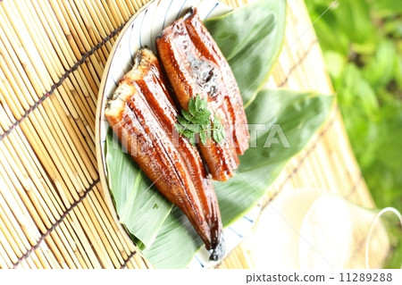 eel eel 11289288