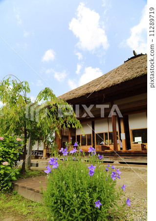 Ouchi Rose Flower and private house Ouchi Rose Flower and private house 11289719