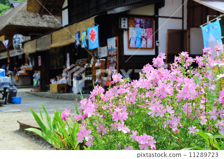 大內玫瑰花和私人住宅 11289723