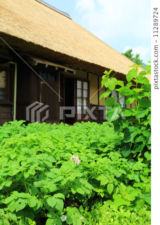 大內創新領域和私人住宅 11289724