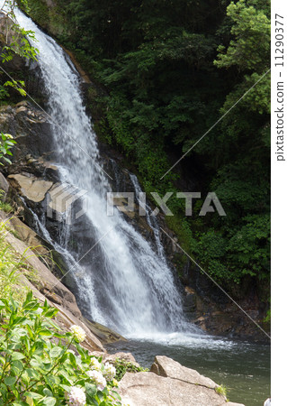 Returning waterfall 11290377