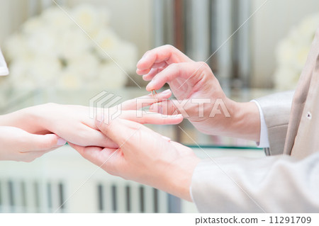 戒指交換 11291709