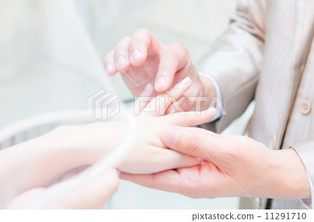 戒指交換 11291710