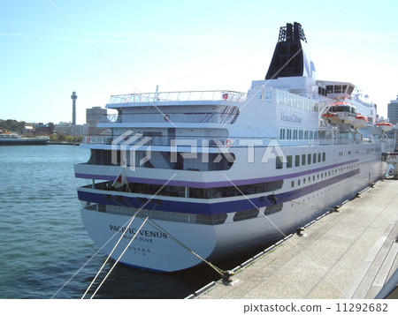 Pacific Venus 11292682