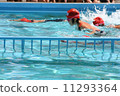 swimming 11293364