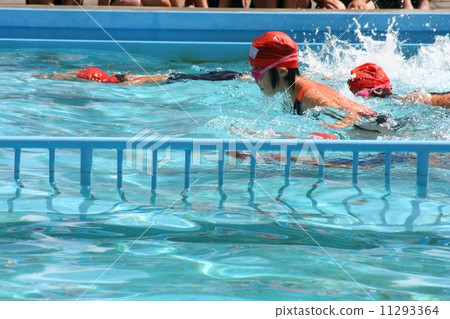 swimming swimming 11293364