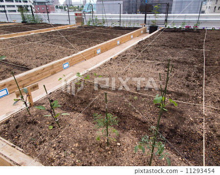 在建築物的屋頂上 在建築物的屋頂上 11293454