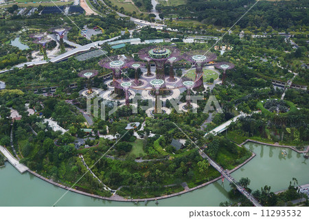 濱海灣花園 濱海灣花園 11293532