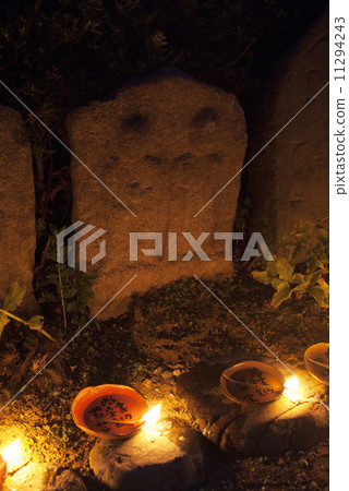 Gokodori Cherry Blossoms 11294243