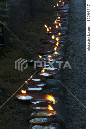 Gokodori Cherry Blossoms 11294247