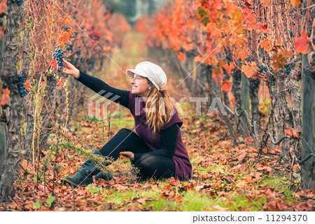 Woman in the vineyard 11294370