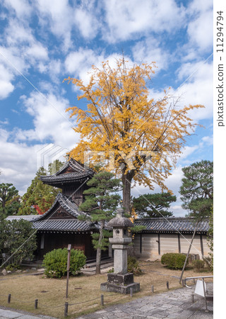 大谷祖先的女兒 11294794