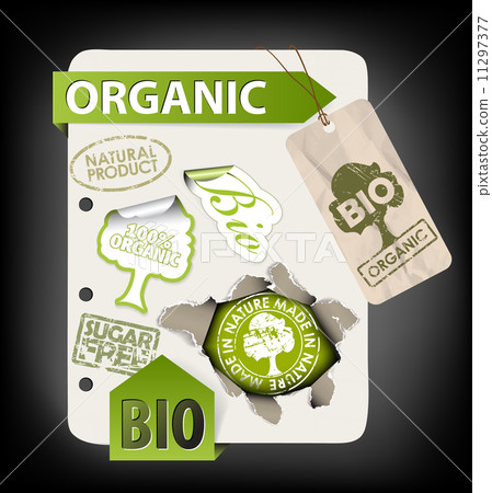Set of bio, eco, organic elements 11297377