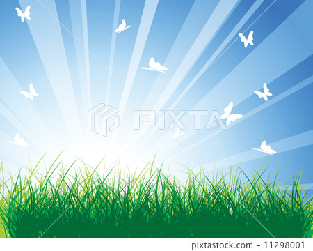 Spring meadow with green grass 11298001