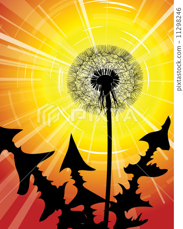 Dandelion silhouette Dandelion silhouette 11298246
