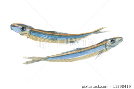 Kibunoda dried fish Kibunoda dried fish 11298419