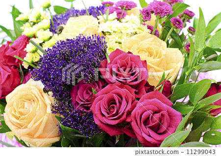 Colorful Flowers Bouquet Isolated on White Background 11299043