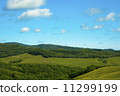 綠色大農場和藍天 11299199