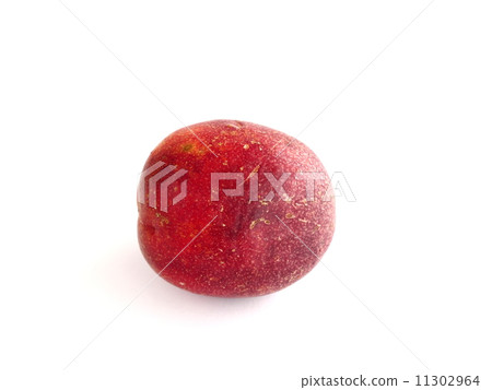 passion fruit  11302964