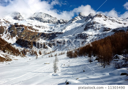 Winter landscape 11303490