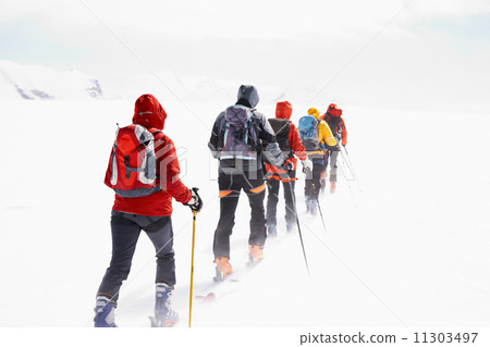 Group touring skiers Group touring skiers 11303497