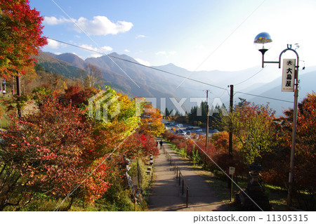 Mimen寺廟秋葉 11305315