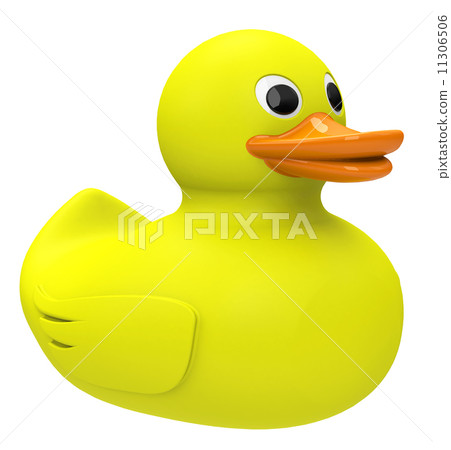 The duck 11306506