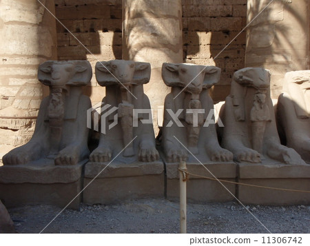 Afternoon Sphinx 11306742