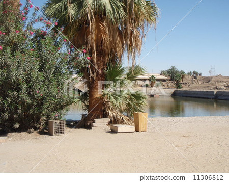 卡納克神聖的池塘寺廟 卡納克神聖的池塘寺廟 11306812