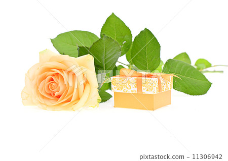 Rose with Gift Box Isolated on White Background Rose with Gift Box Isolated on White Background 11306942