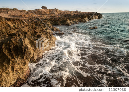 rock in the sea 11307088