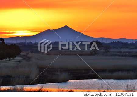 Watarase和Mt. Tsukuba在黎明 11307151
