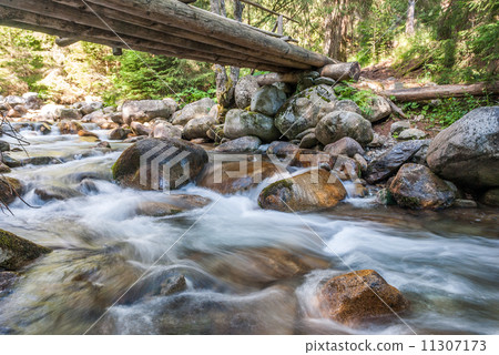 creek in the forest creek in the forest 11307173