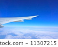 Airplane wing 11307215