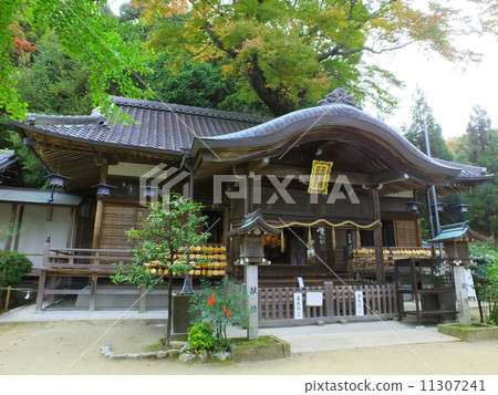 Katsuragi single word shrine 11307241